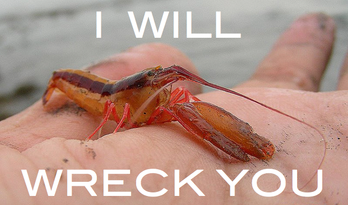 Badass Biology: The Pistol Shrimp